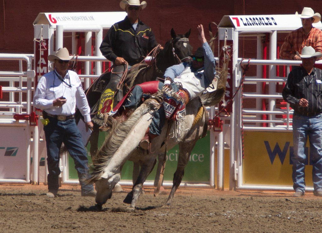 Calgary Stampede-1519.jpg